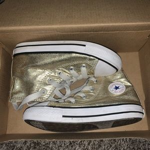 Metallic Hightop Converse
